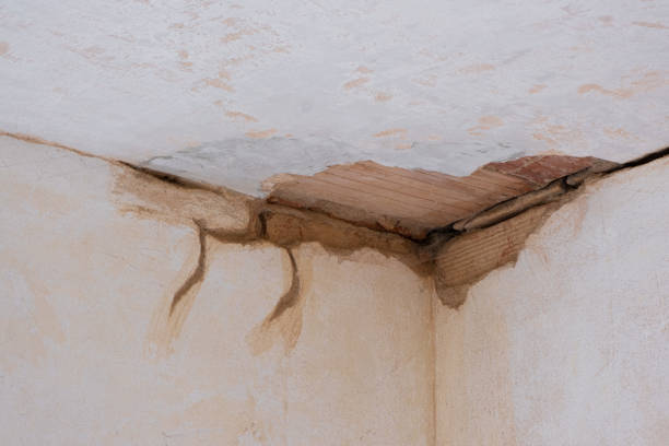 Best Local water damage restoration  in Byhalia, MS