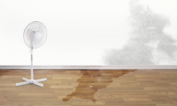 Best Sewage cleanup and water damage restoration  in Byhalia, MS
