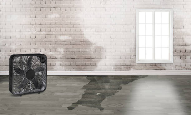Best Fire Damage Restoration  in Byhalia, MS