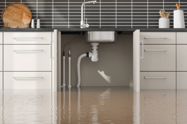 Best Flood restoration services  in Byhalia, MS